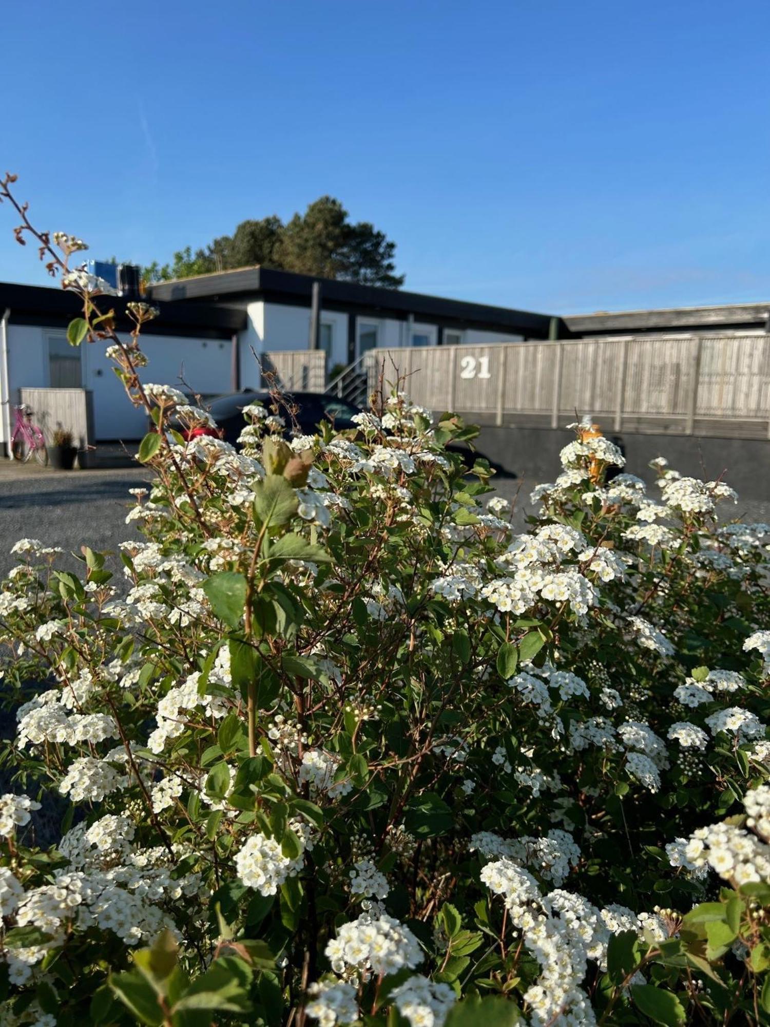 Apartmán Plesners Anneks Skagen Exteriér fotografie